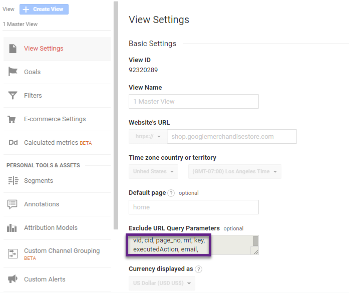 Query Parameters in Google Analytics view